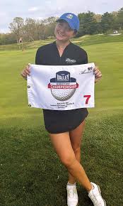 Image result for Amber Valley Gc