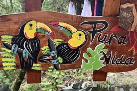 Image result for foto  de uma vida