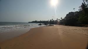 Image result for patnem beach