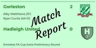 Image result for Hadleigh United Football Club