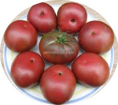 Afbeeldingsresultaat voor black elephant tomato