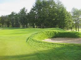 Image result for Beith Golf Club