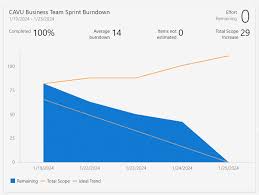 Image result for burnup chart
