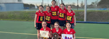 Image result for Winchester Netball Club