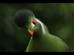 Image result for U3A Sheffield Scrabble Club