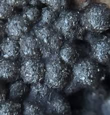 Attēlu rezultāti vaicājumam “Ruzenia spermoides”