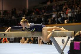 Image result for Aerodyne Gymnastics Club