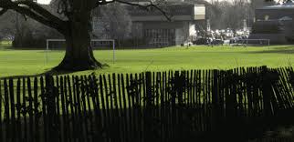 Image result for Chichester Priory Park Hockey Club