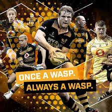 Image result for Wasps Football Club