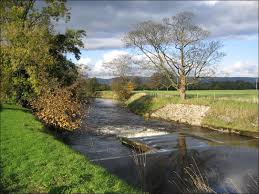 Image result for Reigate & District Angling Association