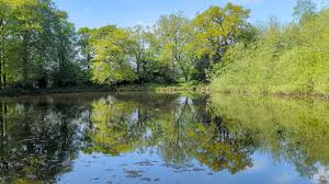 Image result for Bollington & Royal Oak Angling Society
