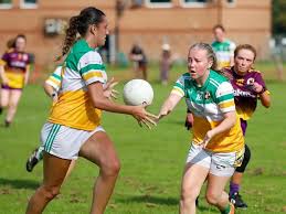 Image result for Wolfe Tones Gaelic Athletic Club