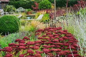 Attēlu rezultāti vaicājumam “Exobasidium splendidum”