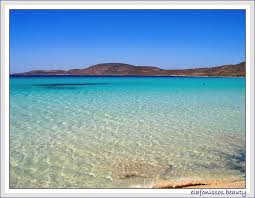 http://t0.gstatic.com/images?q=tbn:ANd9GcSwU12nmKBfbYBb87LVi5ul0k7NX9JuNUrpfwrVwzMgFojuQCpd0Q