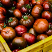 Afbeeldingsresultaat voor debarro black tomato