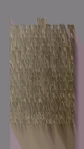 Attēlu rezultāti vaicājumam “Harpanthus flotovianus cells”