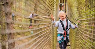 Image result for Go Ape! Alice Holt
