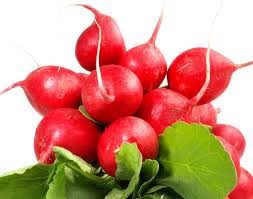 Image result for Radieschen