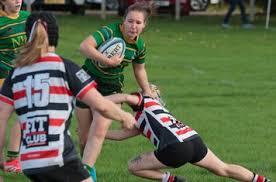 Image result for Novocastrians Rugby Football Club