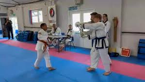Image result for Tang Sou Dao Ren Yi Wu Kwan - Huntingdon