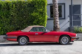 Image result for Flamenco 1993 Jaguar