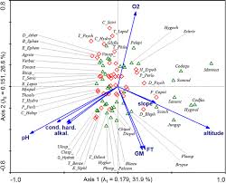 Attēlu rezultāti vaicājumam “Dichodontium pellucidum macro”