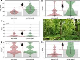 Attēlu rezultāti vaicājumam “Osmoderma barnabita imago”