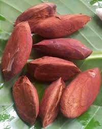 Attēlu rezultāti vaicājumam “Galium schultesii fruit”