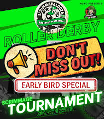 Image result for The Norfolk Brawds Roller Derby