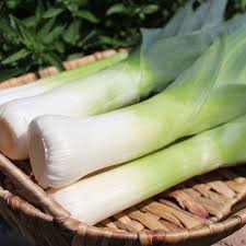 Image result for Porree