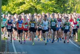 Image result for Chepstow Harriers