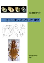 Attēlu rezultāti vaicājumam “Elasmucha ferrugata”