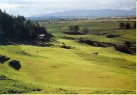 Image result for Aberfoyle Golf Club