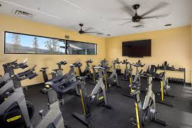 Image result for Arrow Vale Gym Club