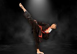 Image result for Kicking Dragon Kung Fu School, Belfast