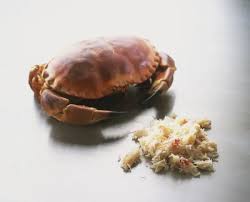 Image result for Cancer pagurus