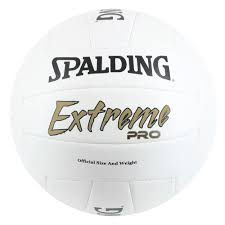 Image result for Spalding Saracens Volleyball Club
