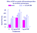 EGF and the stress response