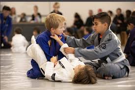 Image result for Aj Independent Martial Arts