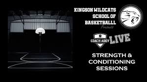Image result for Kingston Wildcats Basketball Club