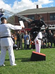 Image result for Kidderminster Tae Kwon Do Tigers