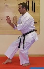 Image result for ZOKU SHOTOKAN KARATE (Baldock)