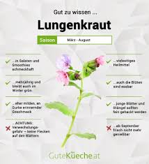 Image result for Lungenkraut