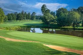 Image result for Garesfield Golf Club