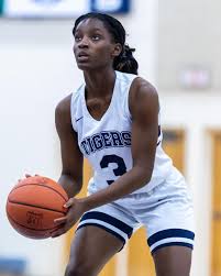 Image result for Thames Valley Tigers Basketball Team