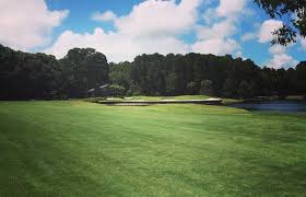 Image result for Dolphina Gc