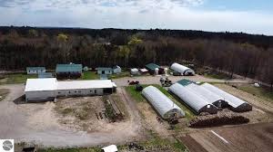 Image result for Archer Road Club