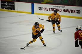 Image result for Havering Skater Hockey Club
