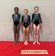 Image result for Wyre Forest School Of Gymnastics