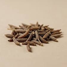 Image result for Carum carvi